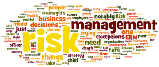 Risk Management